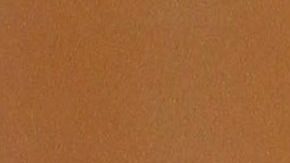 Rosie Rivera, hermana de Jenni Rivera | Mezcalent