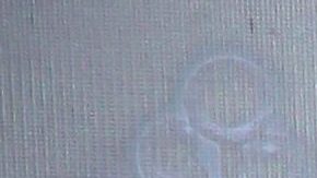 Maribel Guardia | Mezcalent