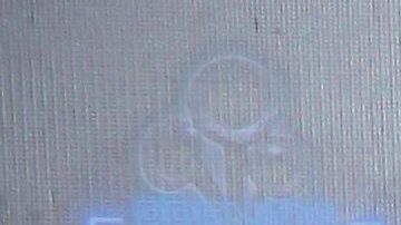 Maribel Guardia | Mezcalent