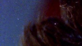 Madre de Luis Miguel desapareció misteriosamente hace años | Mezcalent