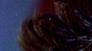 Madre de Luis Miguel desapareció misteriosamente hace años | Mezcalent