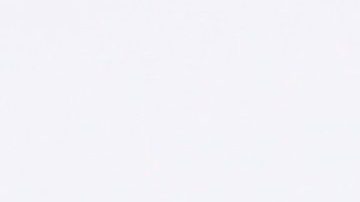 Toni Costa y Adamari López | Mezcalent