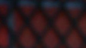 Emilio Osorio | Mezcalent