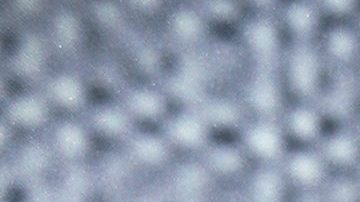 Luz Elena González | Mezcalent