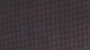 Eiza González | Mezcalent