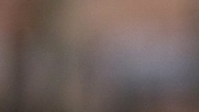 Raúl Araiza | Mezcalent