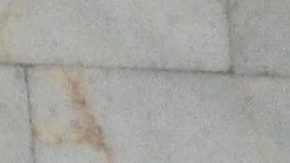 Sergio Mayer | Mezcalent