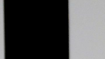 Michelle Salas | Mezcalent