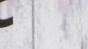 Galilea Montijo | Mezcalent