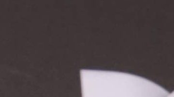 Alejandro Speitzer recibió una invitación de la Banda El Recodo | Mezcalent