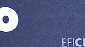 Danna Paola | Mezcalent