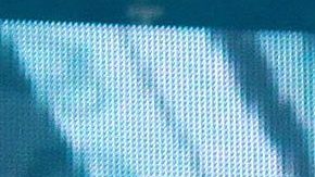 Niurka y Emilio Osorio | Mezcalent