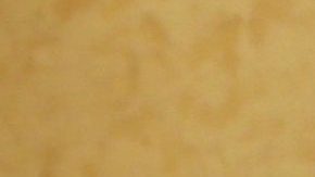 Alan Tacher y su esposa | Mezcalent