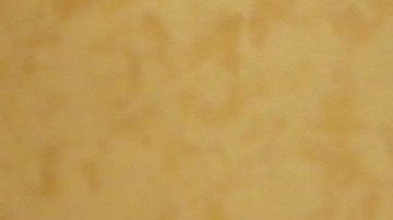 Alan Tacher y su esposa | Mezcalent