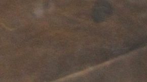 Geraldine Bazán | Mezcalent