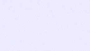 Ninel Conde | Mezcalent