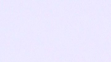 Ninel Conde | Mezcalent