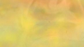 Jorge Salinas | Mezcalent