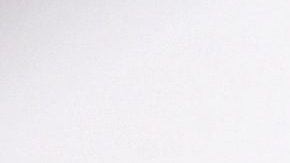 Michelle Salas | Mezcalent