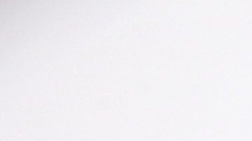 Michelle Salas | Mezcalent