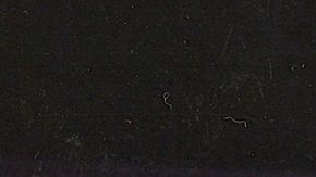 Itatí Cantoral y Eduardo Santamarina