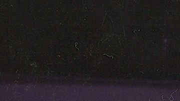 Itatí Cantoral y Eduardo Santamarina