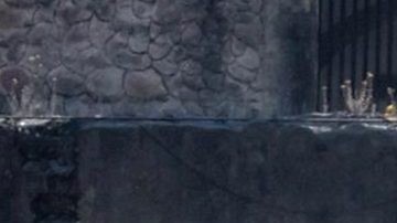 Angelique Boyer | Mezcalent