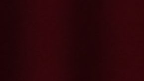 Vadhir Derbez | Mezcalent