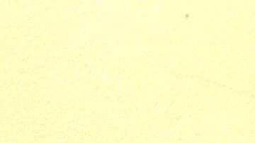 Sergio Mayer | Mezcalent