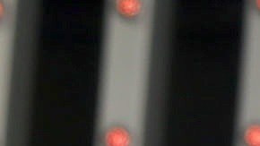 Ximena Navarrete, ex Miss Universo, será pronto mamá | Mezcalent