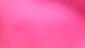 Yolanda Andrade | Mezcalent