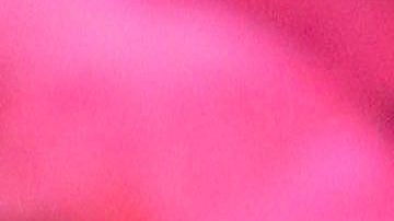 Yolanda Andrade | Mezcalent