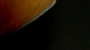 Laura Bozzo | Mezcalent