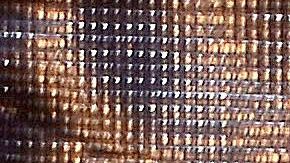 Niurka Marcos | Mezcalent