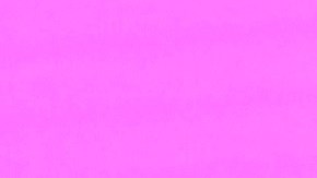 Neida Sandoval en Despierta América | Mezcalent