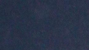 Camila Sodi en alfombra roja | Mezcalent