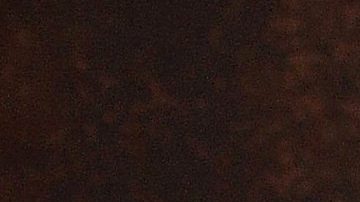 Toño Mauri | Mezcalent