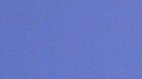 Martha Higareda en la presentación de "No Manches Frida" | Mezcalent