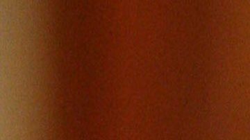 Andrea Legarreta | Mezcalent