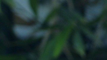 Amigas y Rivales telenovela mexicana | Mezcalent