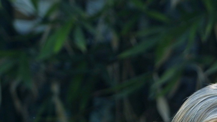Amigas y Rivales telenovela mexicana | Mezcalent