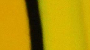 Alfredo Adame | Mezcalent