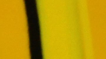 Alfredo Adame | Mezcalent