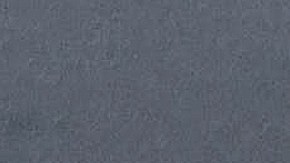 Gael García junto a Fernanda Aragonés en alfombra roja de Sebastian Film Festival | Carlos Alvarez/Getty Images