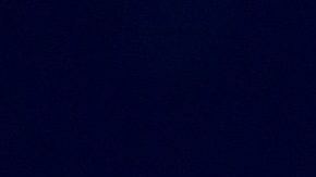 Emilio Estefan y Pitbull | Jason Koerner/Getty Images for Univision