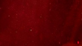 MasterChef Celebrity México