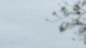 Adamari López y Toni Costa junto a su hija, Alaïa | Mezcalent