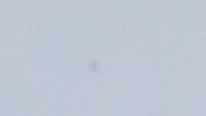 Toni Costa y Adamari López le dieron la bienvenida a su perrita | Mezcalent