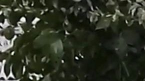 Julián Gil en 'Qué le pasa a mi familia' | Mezcalent