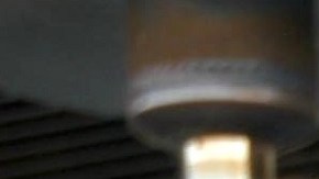 Vicente Fernández Jr. | Mezcalent